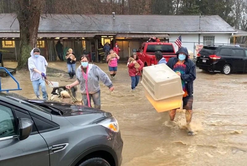 Photo of people rushing to take care of pets during a flooding event.