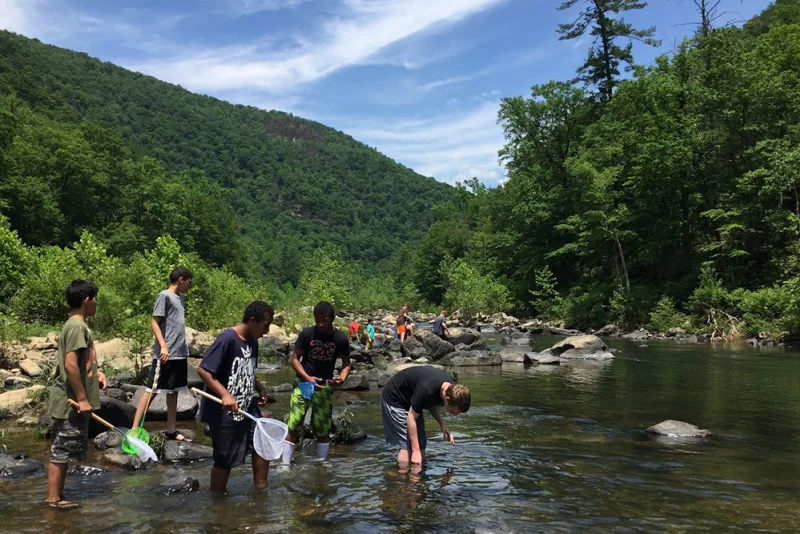 Students wading in a shallow river with nets for hands-on watershed education, with forested mountains behind them