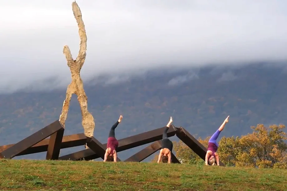 How Sculpture Fields is Leveraging MonkeyPod's Nonprofit Software to Support Community Growth