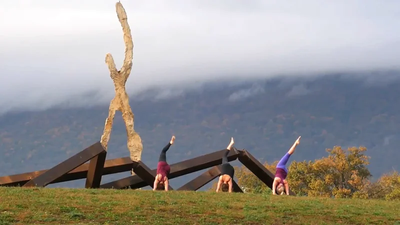 How Sculpture Fields is Leveraging MonkeyPod's Nonprofit Software to Support Community Growth