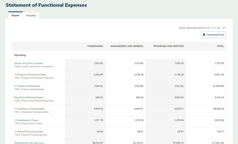 A screenshot of the Statement of Functional Expenses in MonkeyPod.