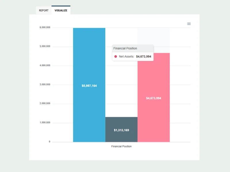 MonkeyPod bar chart of Statement of Financial Position: assets $5,987,164, liabilities $1,313,169, net assets $4,673,994