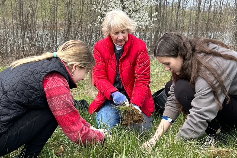 Emily Kohl and two volunteers kneeling in a field to plant or tend to young plants at Boxerwood